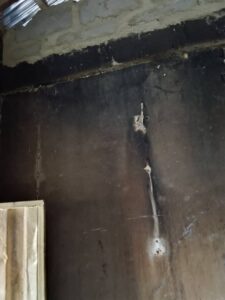 IMG 20260130 WA0038